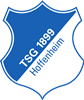 Wappen TSG 1899 Hoffenheim  77